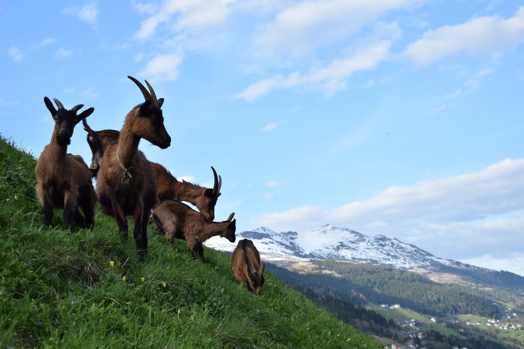 Garni Petter Hotel คัพเพิล ภายนอก รูปภาพ